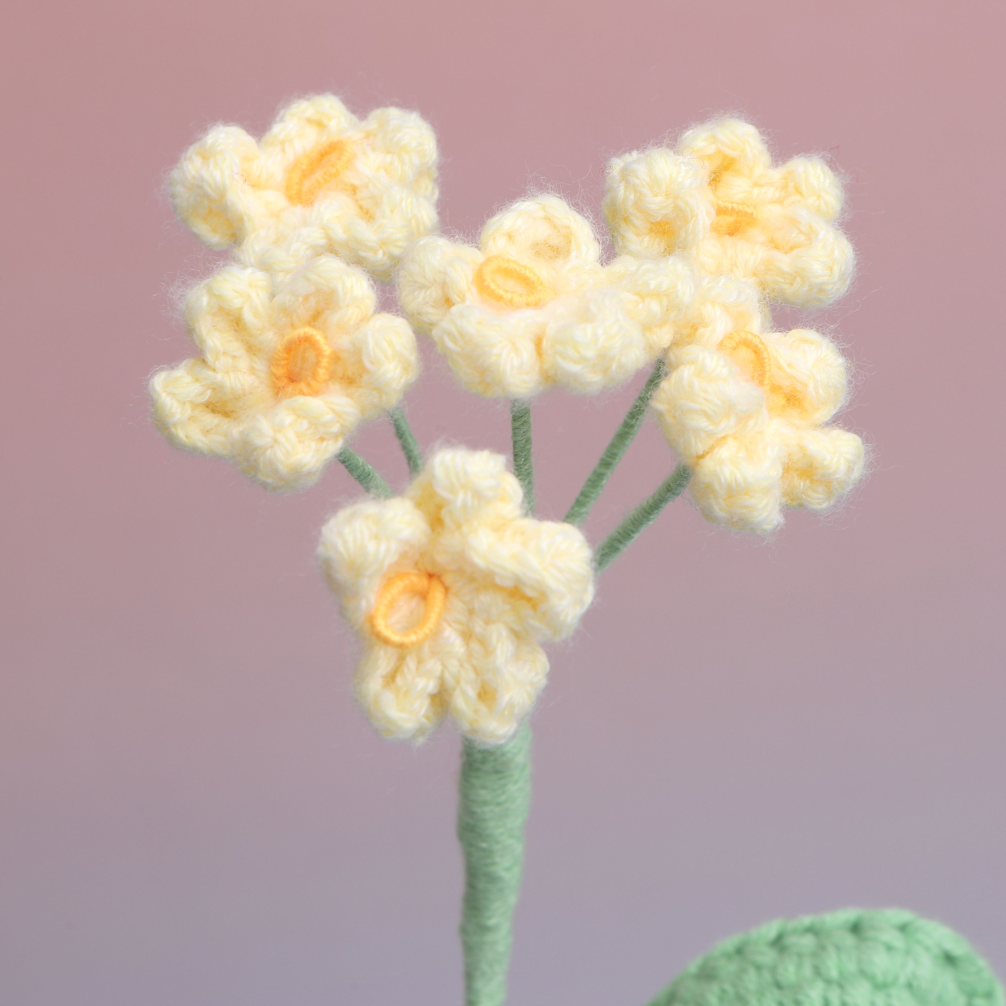 Forget me Not