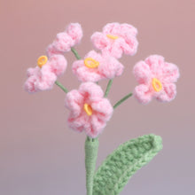 Forget me Not