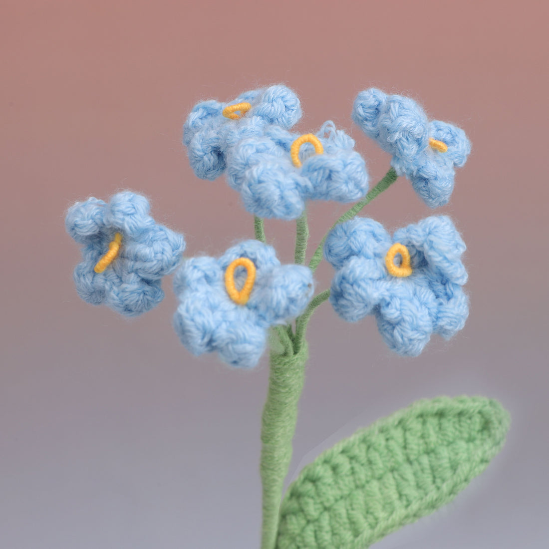 Forget me Not — Blue