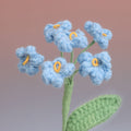 Forget me Not