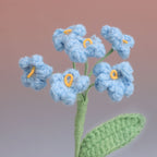 Forget me Not