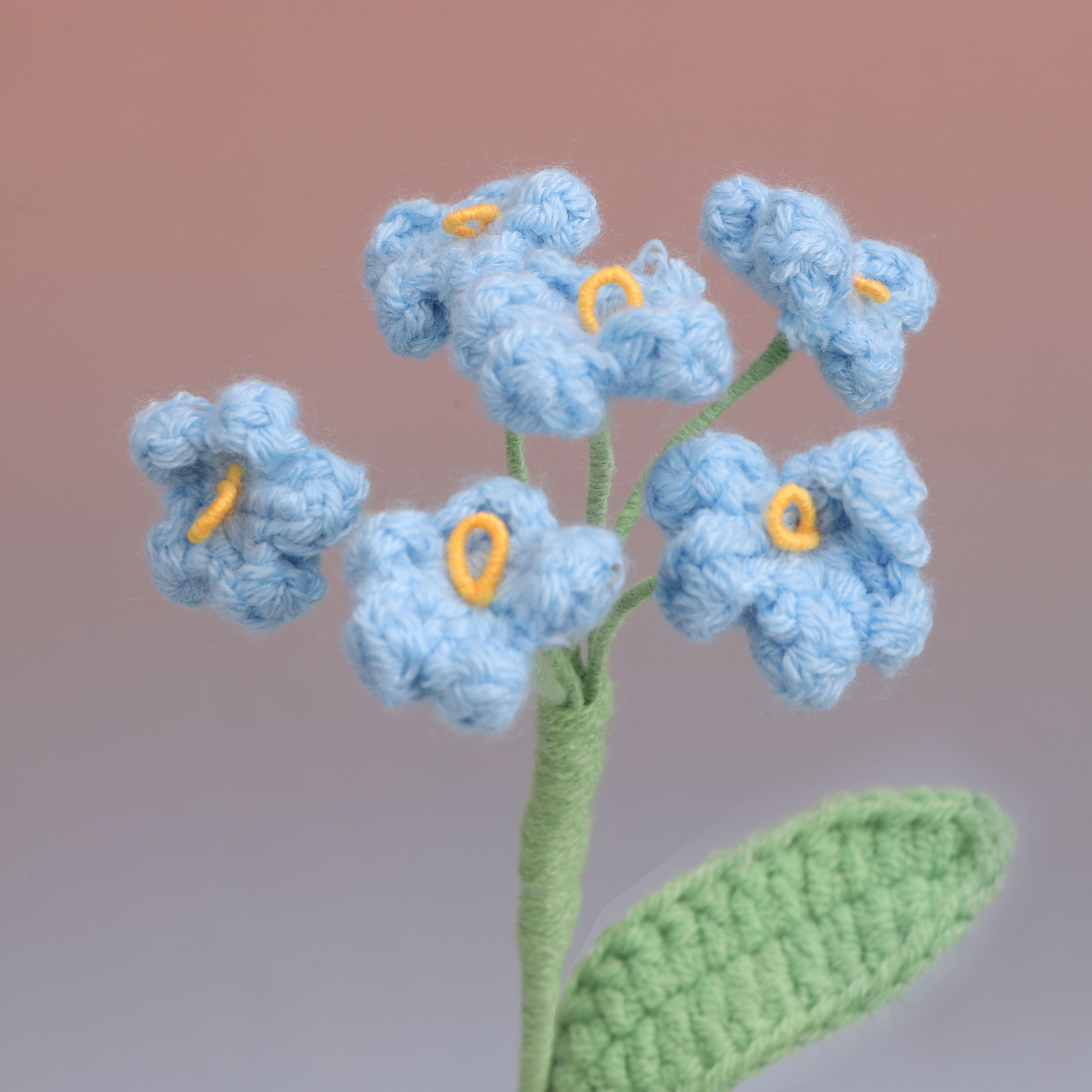 Forget me Not