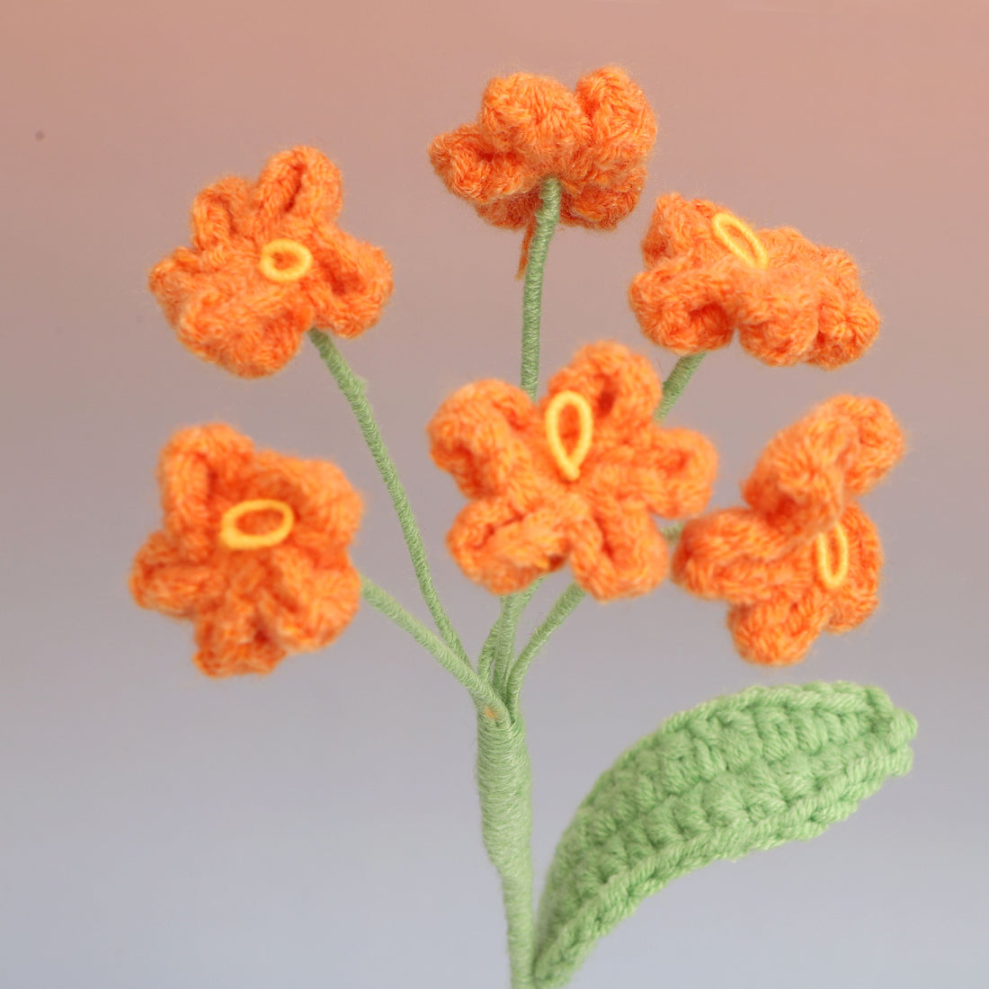 Forget me Not — Orange