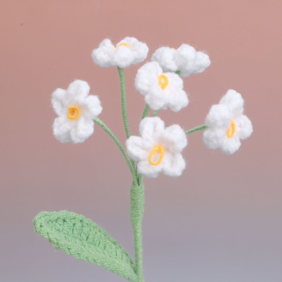 Forget me Not — White