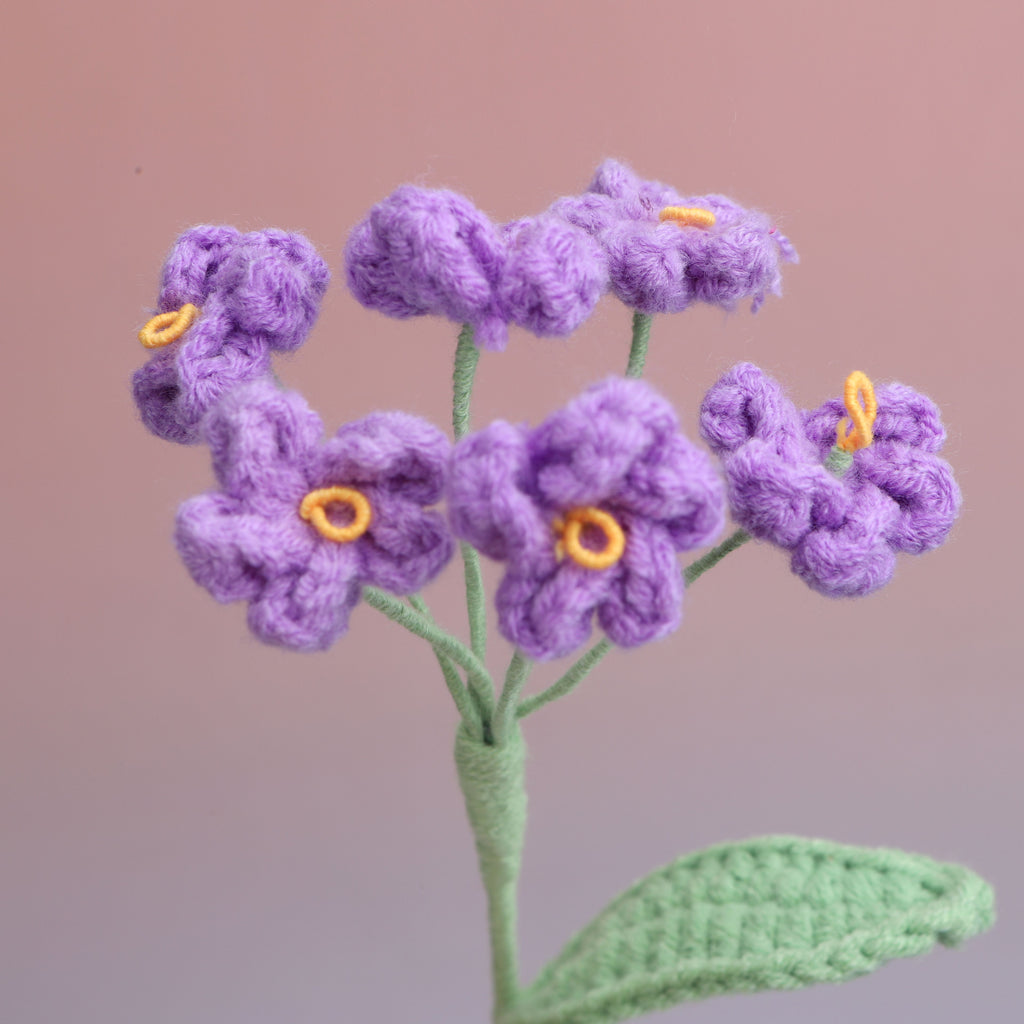 Forget me Not
