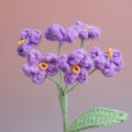 Forget me Not