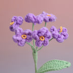 Forget me Not