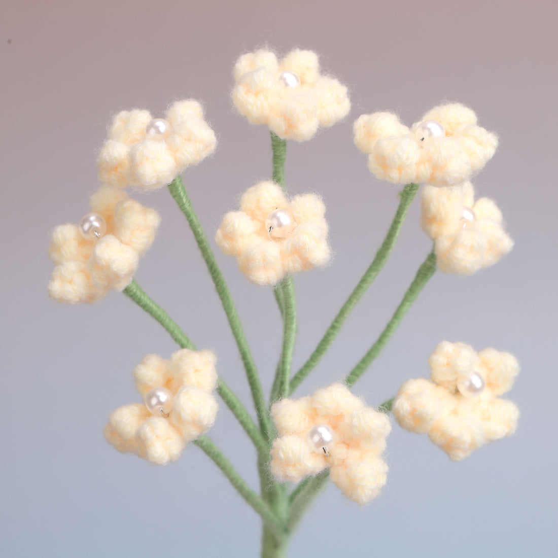 Baby's breath — Beige
