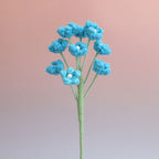 Baby's breath