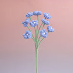 Baby's breath