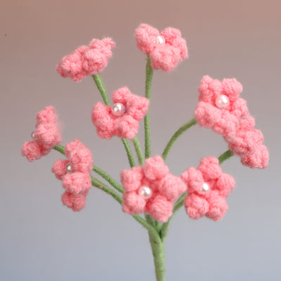 Baby's breath