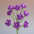 Baby's breath