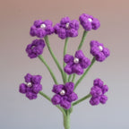 Baby's breath