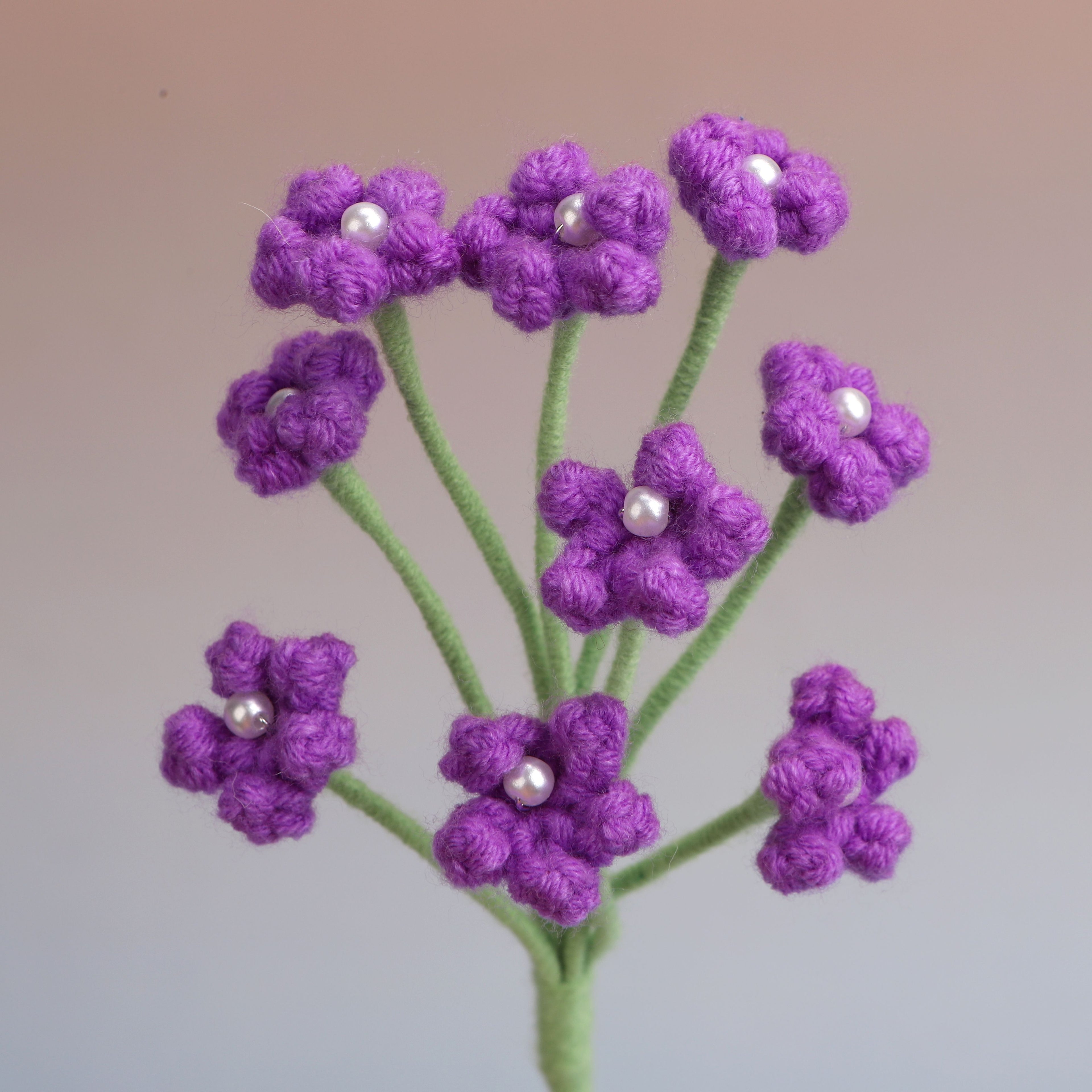 Baby's breath