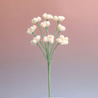 Baby's breath