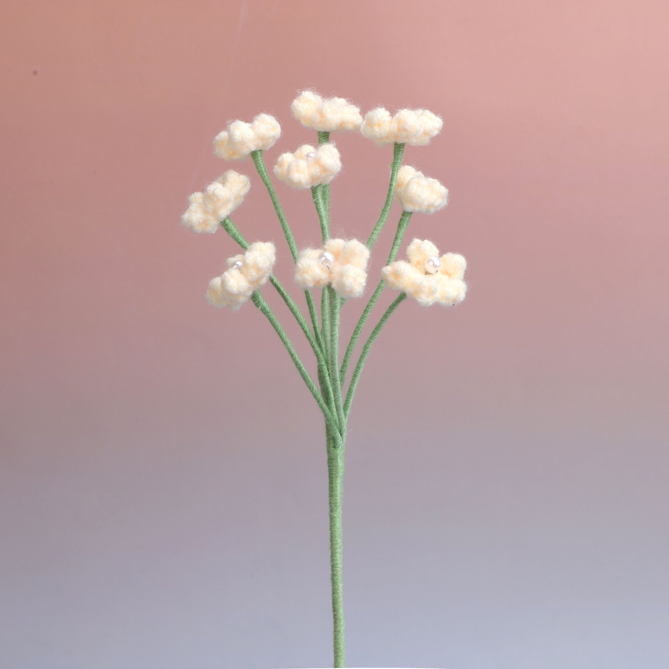 Baby's breath