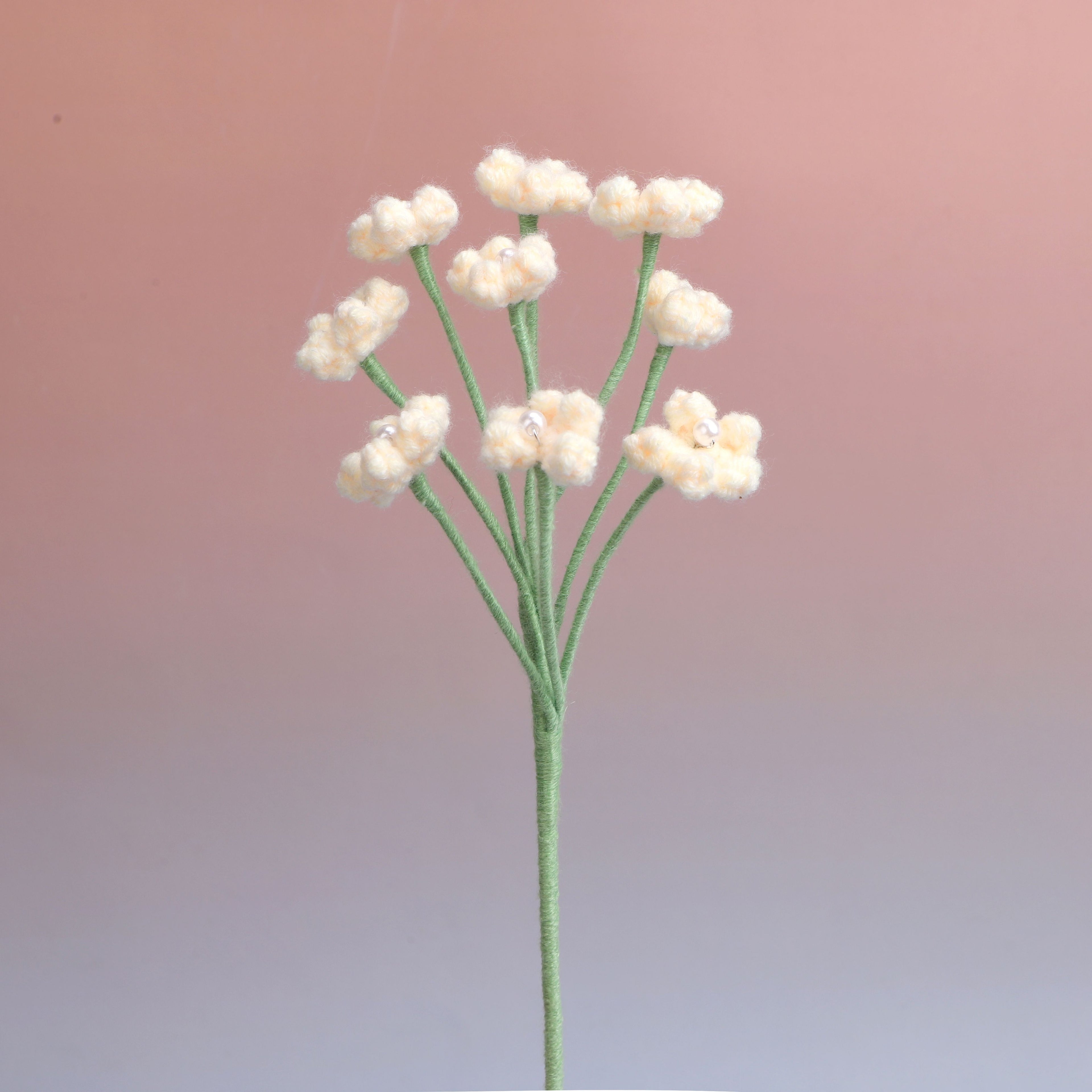 Baby's breath