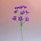 Baby's breath