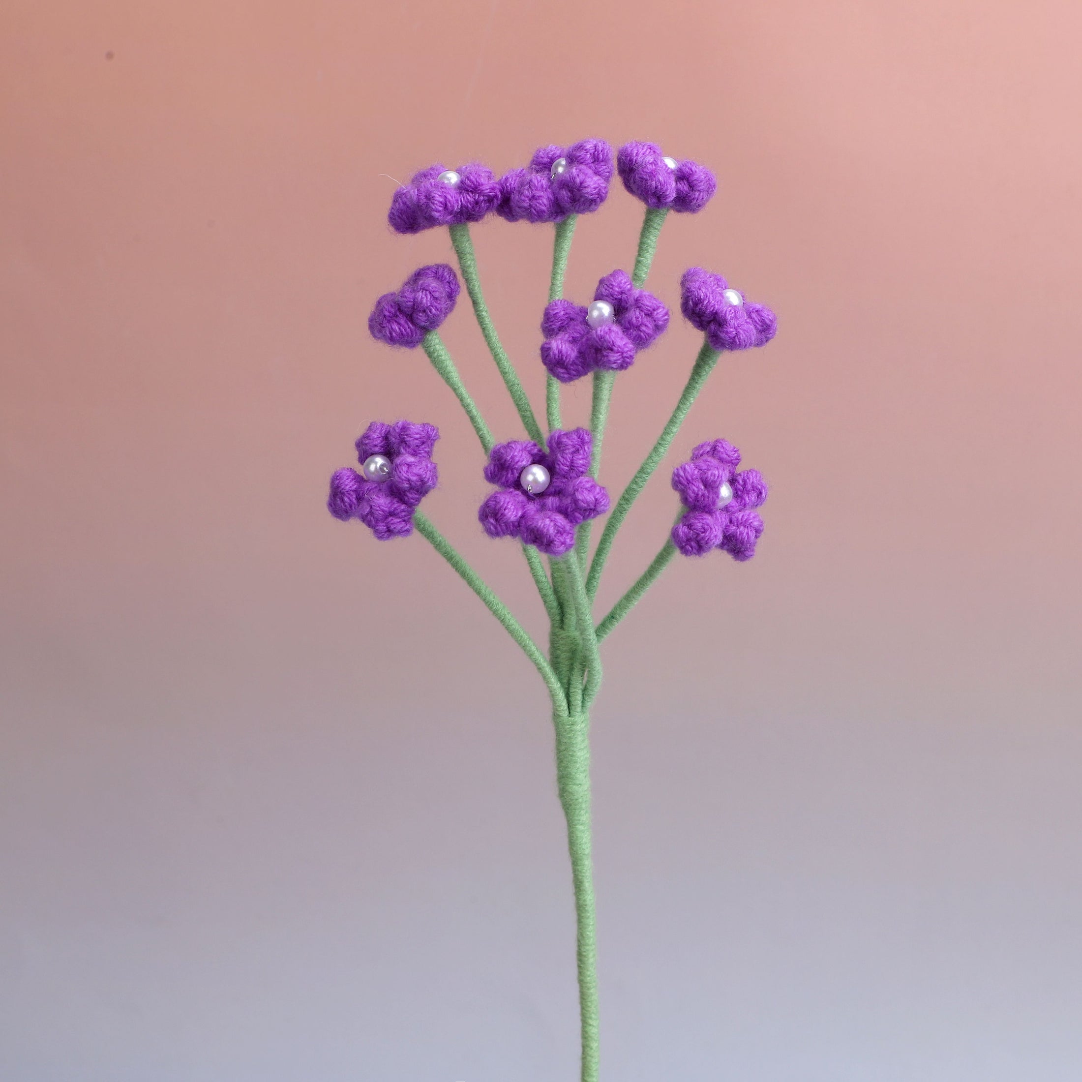Baby's breath