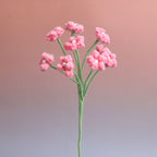 Baby's breath