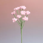 Baby's breath