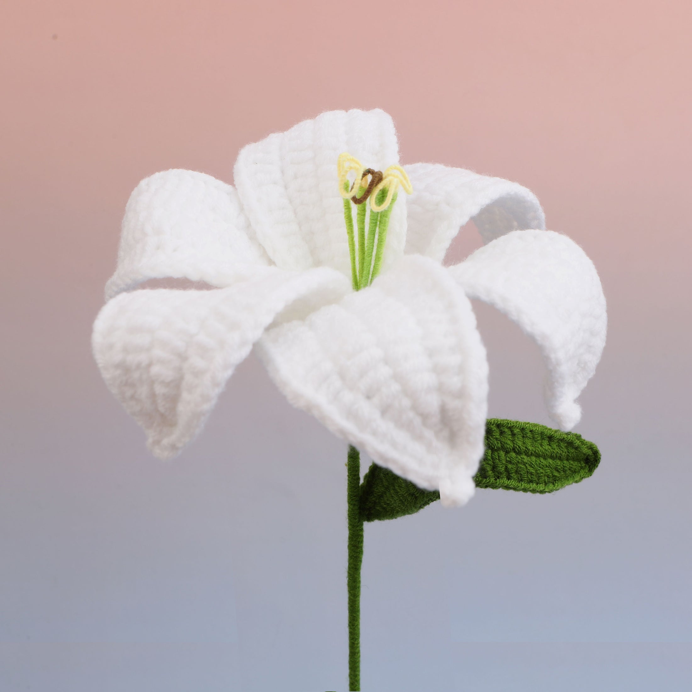 Lily
