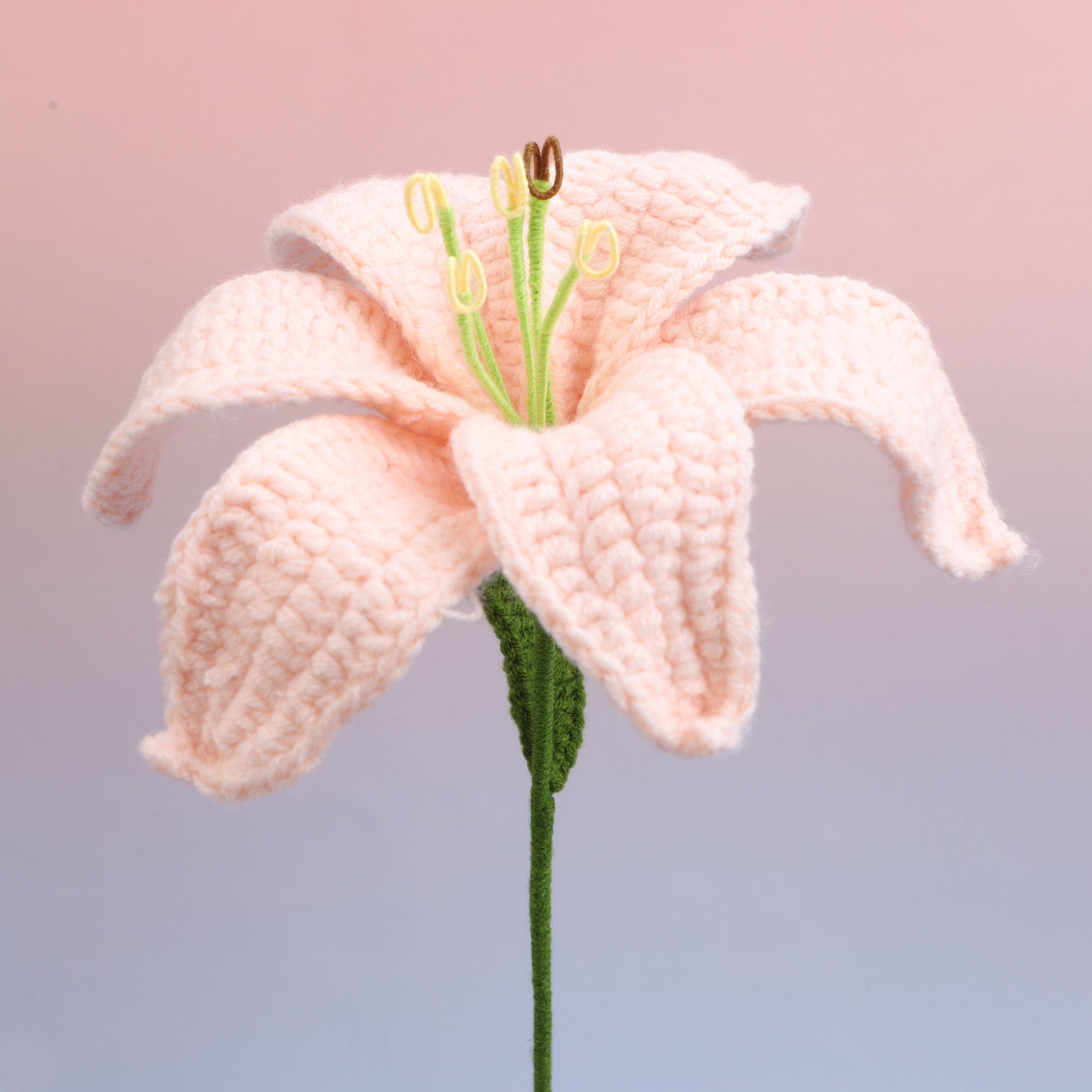 Lily