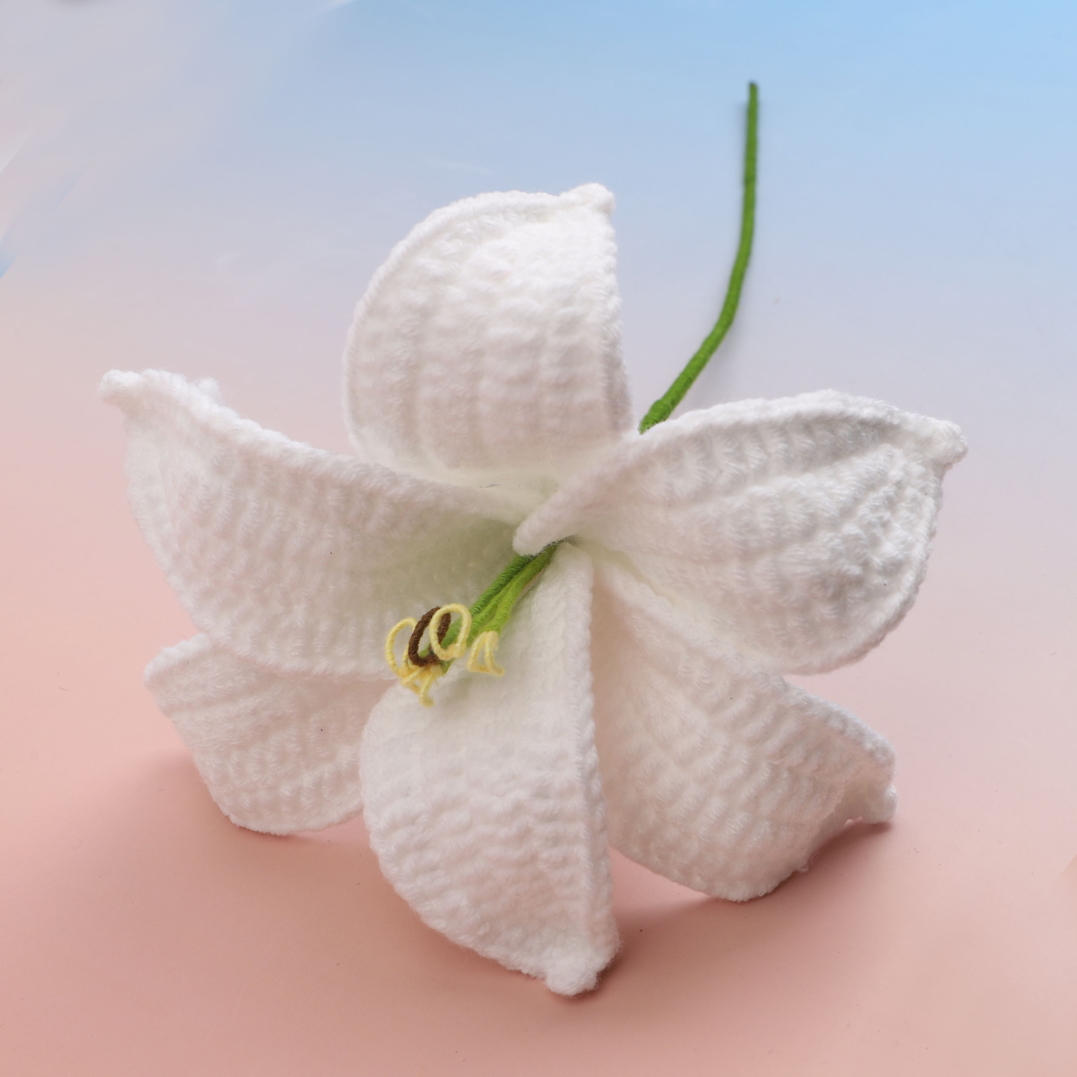 Lily