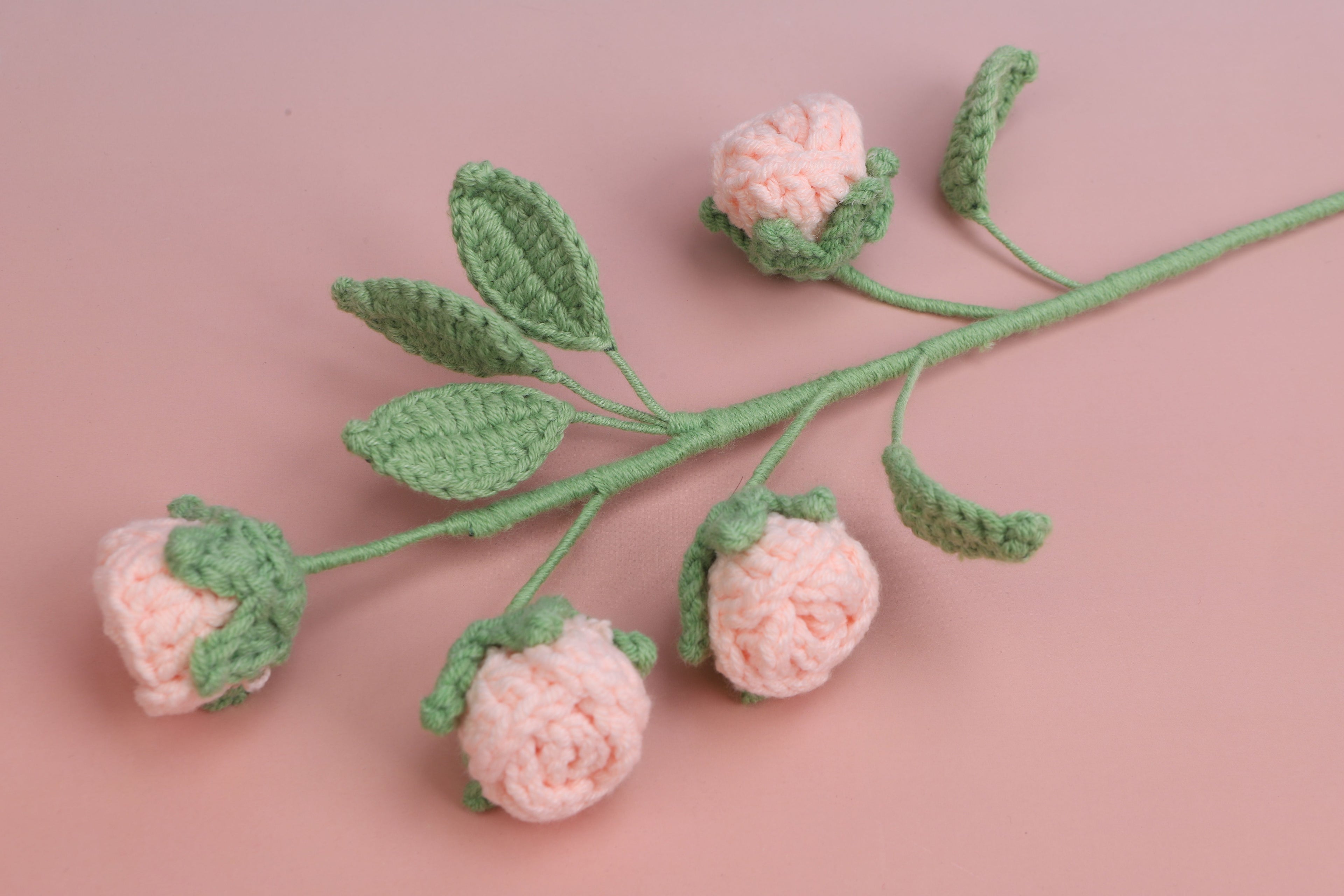 Rose-4