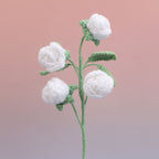 Rose-4