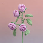 Rose-4