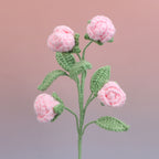 Rose-4