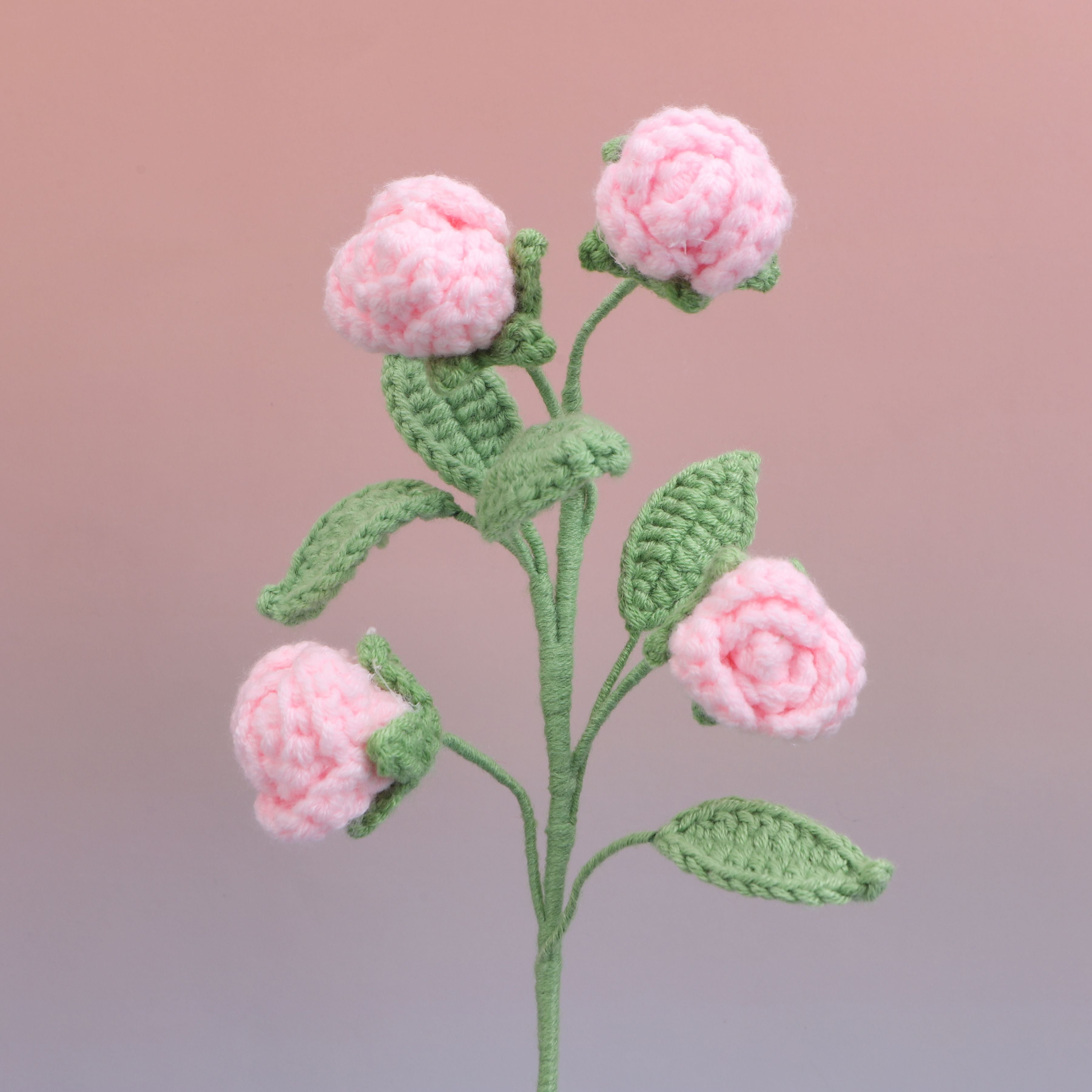 Rose-4
