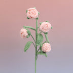 Rose-4