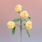 Rose-4