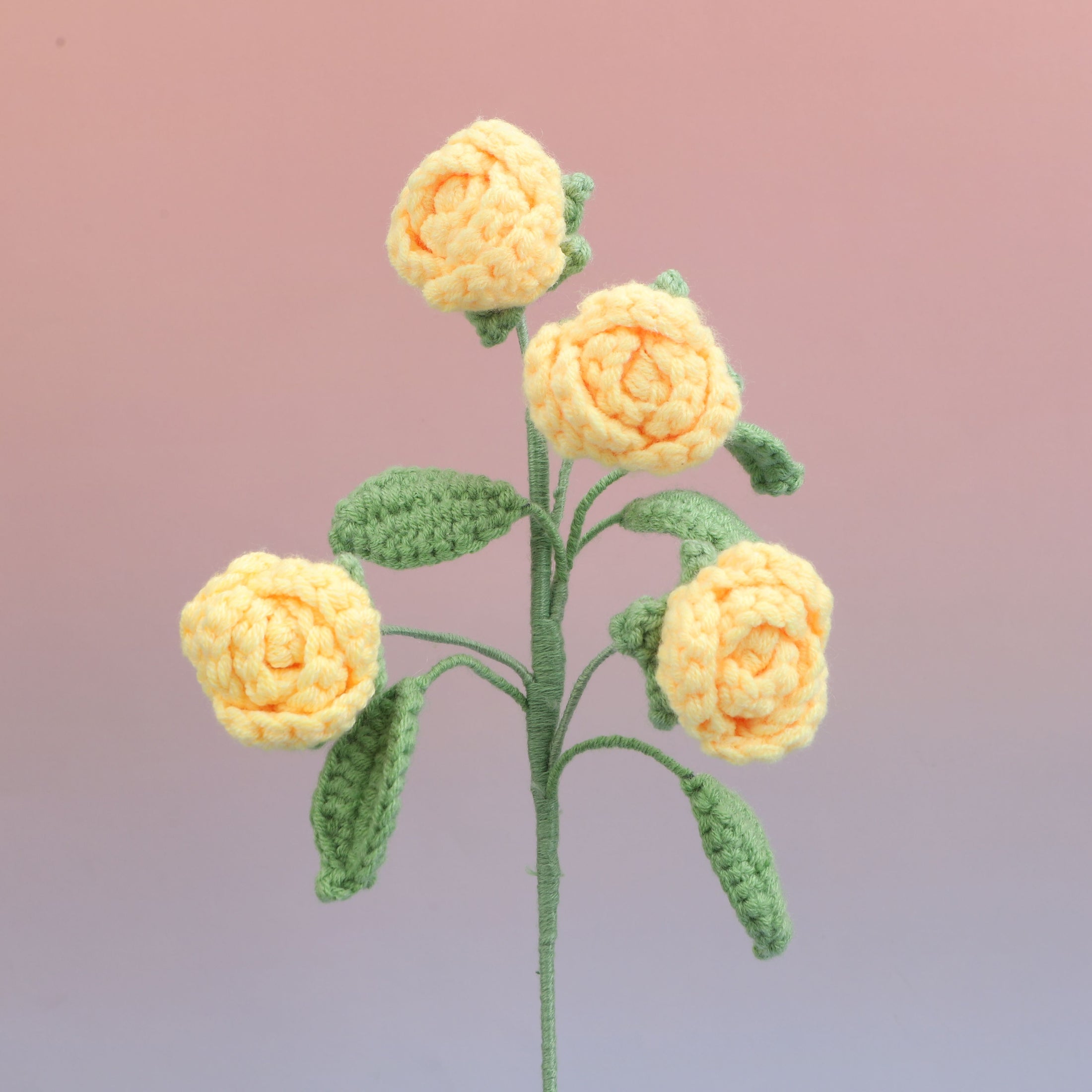 Rose-4