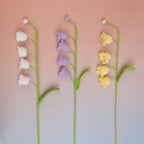 Lily of the Valley-4