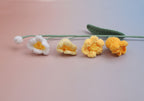 Lily of the Valley-4