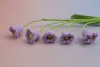 Lily of the Valley-5