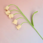 Lily of the Valley-5
