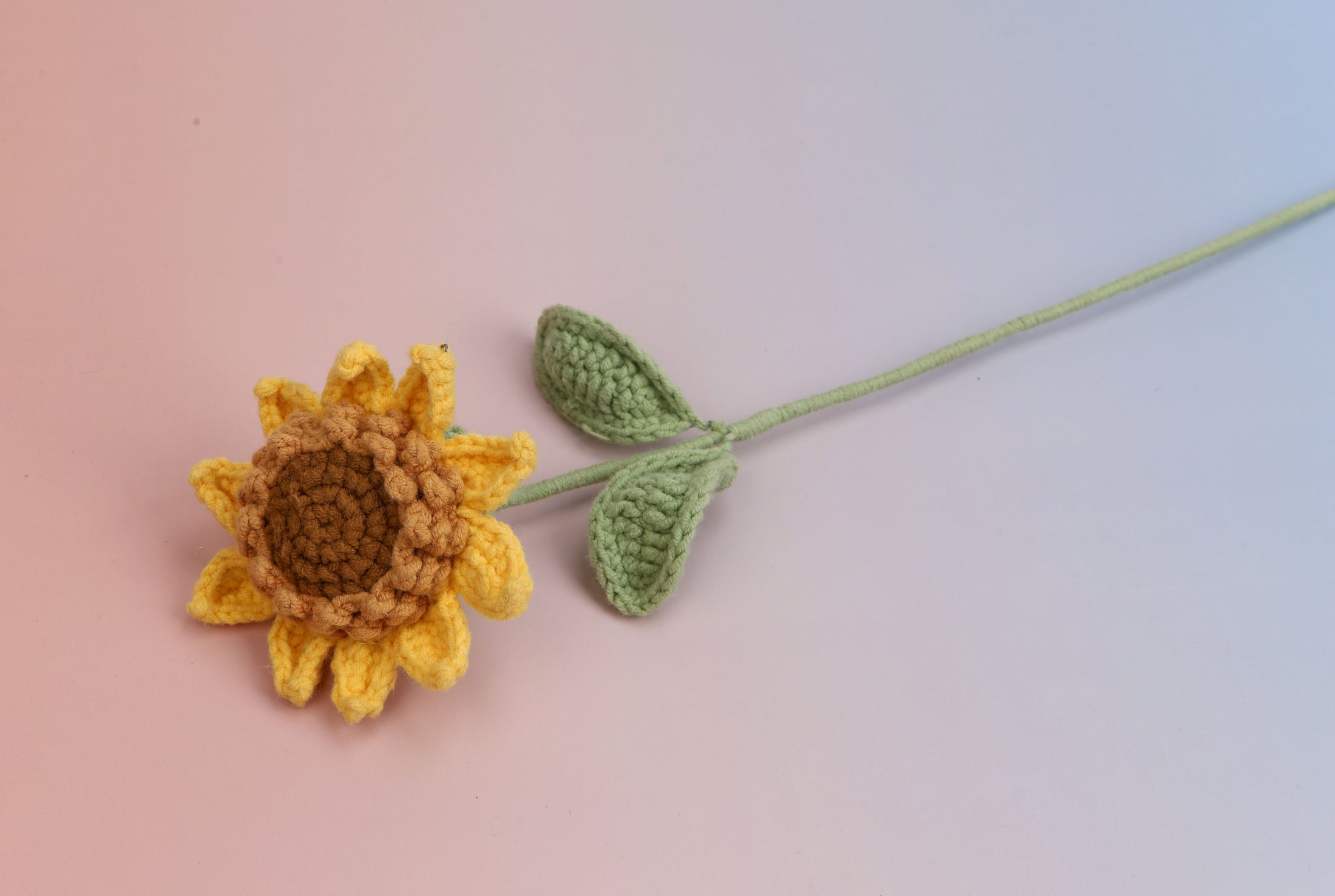 Premium sunflower