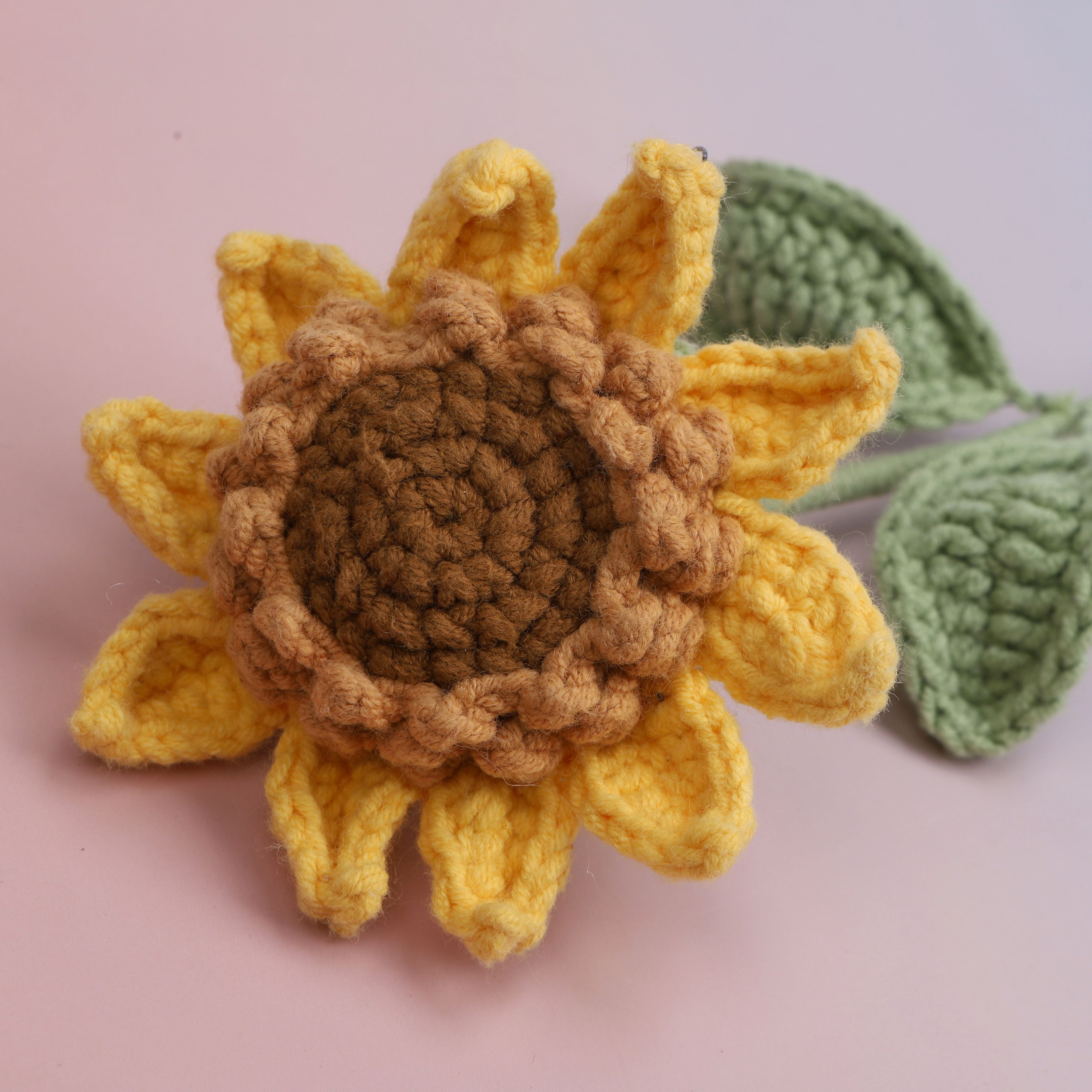 Premium sunflower