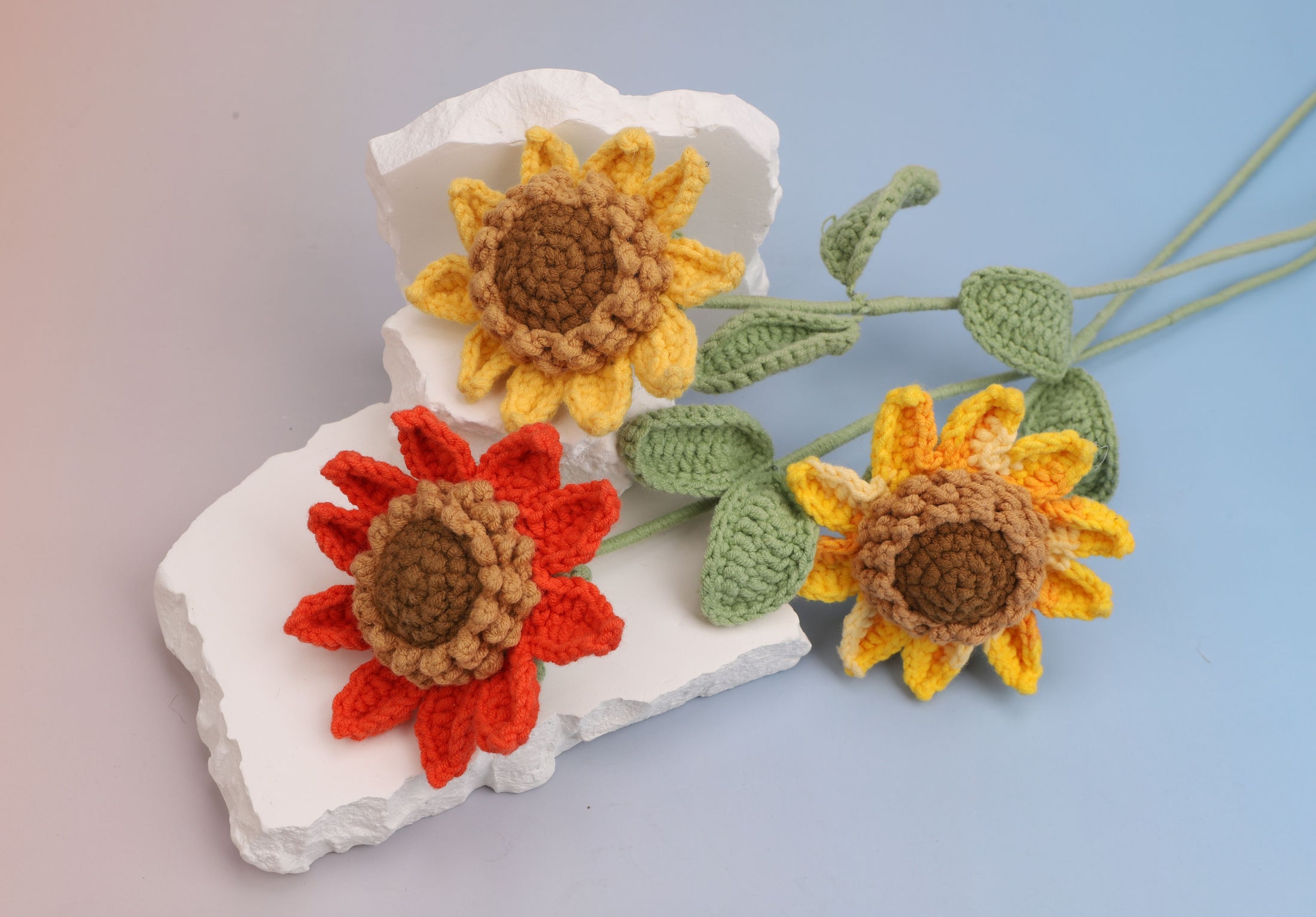 Premium sunflower