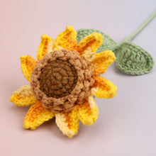 Girasol premium
