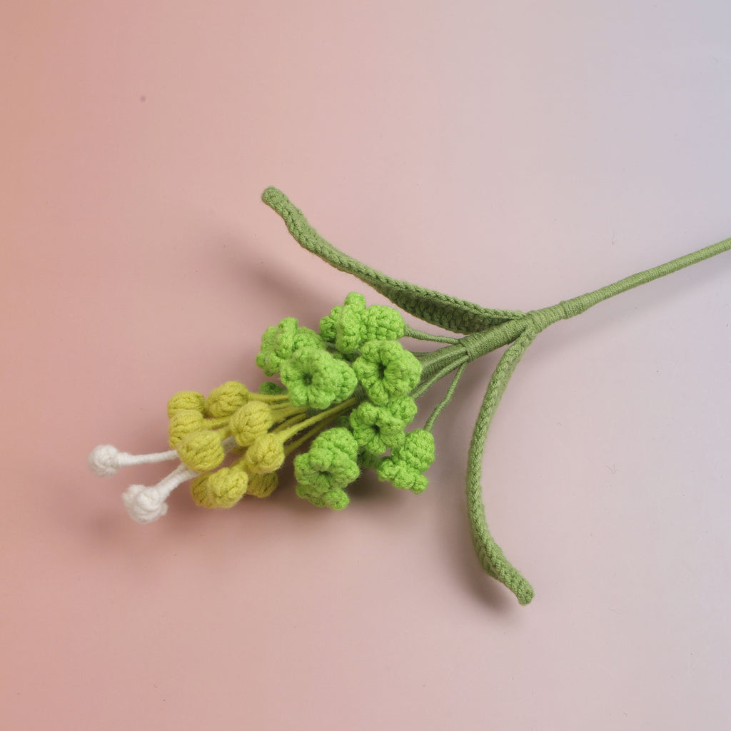 Hyacinthus