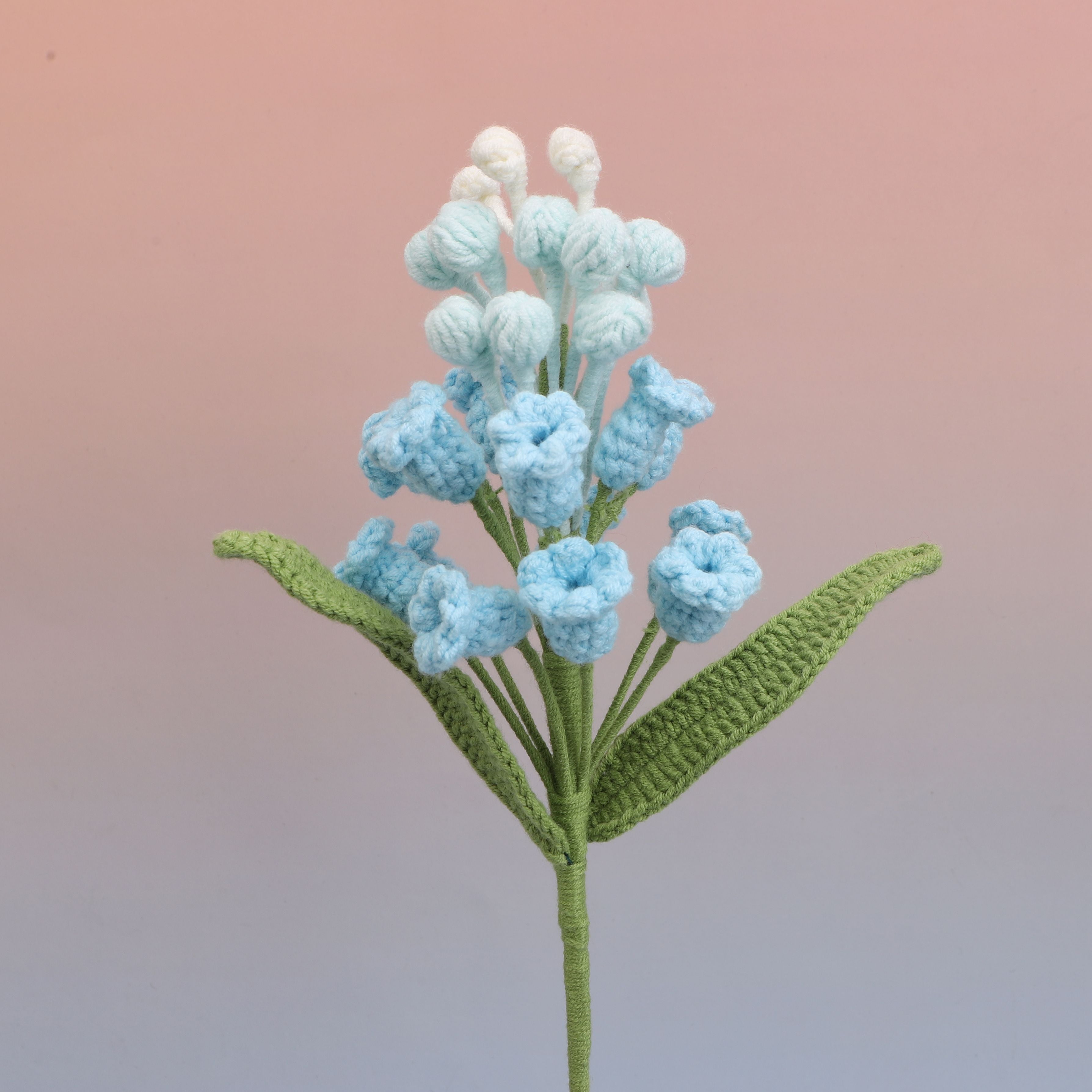 Hyacinthus