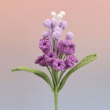 Hyacinthus