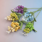 Hyacinthus