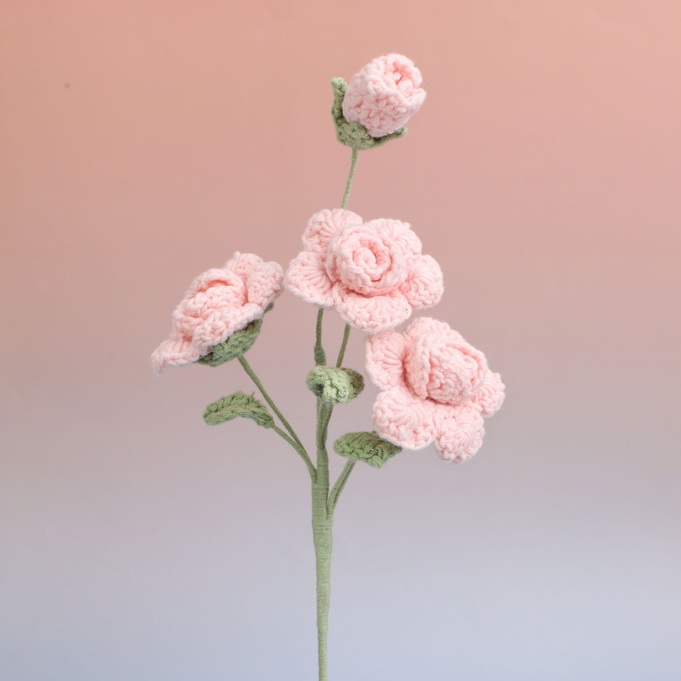 Barbie Rose