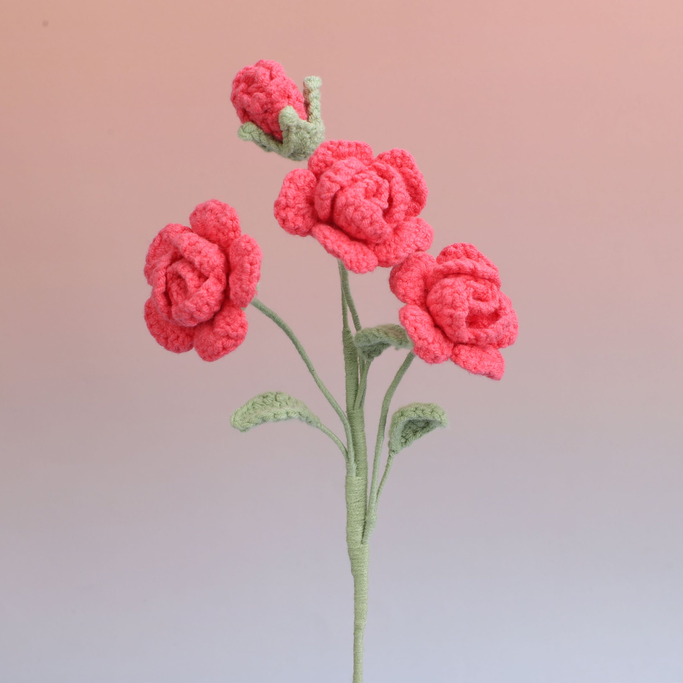 Barbie Rose